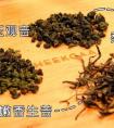 喜茶什么好喝的推薦