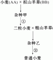 放大鏡的放大倍數(shù)是怎樣確定的？