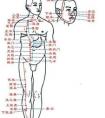 人的身體一共有多少個(gè)穴位