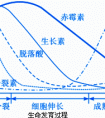 生長素的化學(xué)本質(zhì)