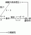 細胞外液的滲透壓主要來源于