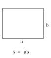 長(zhǎng)方形的面積是怎么計(jì)算的？