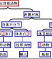 植物的輸導(dǎo)組織有什么作用