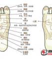 失眠易醒怎么辦？常按這5個穴位，助你快速進入深度睡眠