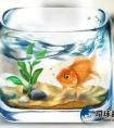 魚缸可以送人嗎