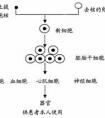 滲透壓是什么？