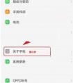 oppor9開發(fā)者選項(xiàng)在哪