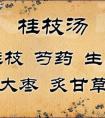 小建中湯與桂枝湯在立法、組成及功用、主治方面有何異同？