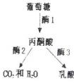 胞質(zhì)是什么啊，是不是細(xì)胞質(zhì)