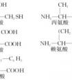 2分鐘告訴你蛋白質(zhì)、氨基酸、肽的區(qū)別……