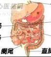 怎么判斷是胃炎還是腸炎