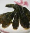 黃骨魚(yú)是鯰魚(yú)的一種嗎，和鯰魚(yú)有什么區(qū)別