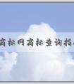 中國(guó)商標(biāo)網(wǎng)商標(biāo)查詢指南：注意事項(xiàng)、方法與功能