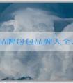 法國(guó)品牌包包品牌大全、流行趨勢(shì)及選購(gòu)攻略