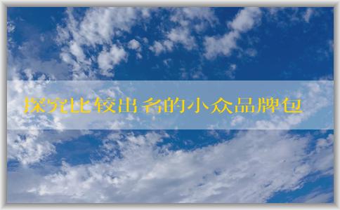 探究比較出名的小眾品牌包包的設計特點、質量優(yōu)劣及備受追捧的原因